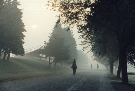 Foggy Morning - photograph - &copy;Lydia Charak-min.jpg