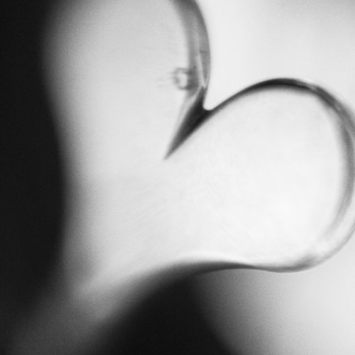 Tuner - photograph - &copy;Lydia Charak-min.jpg