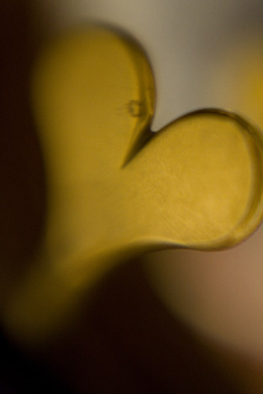 Intimate Conversation with Bass 1 - photograph - &copy;Lydia Charak-min.jpg